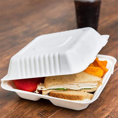 Biodegradável descartável tire a caixa de almoço de cana-de-açúcar