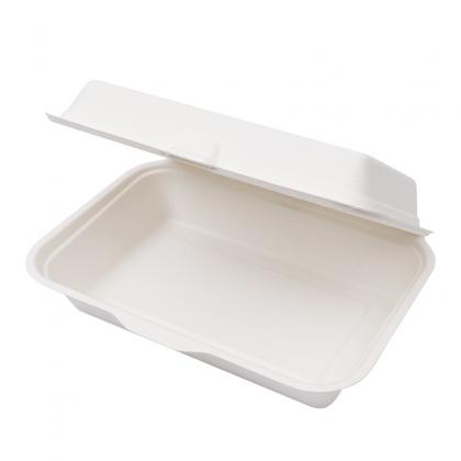 ‘Bagasse