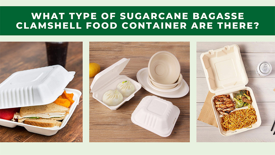 Que tipo de recipiente para alimentos em concha de bagaço de cana-de-açúcar existe?